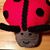 Sandy Rieckert's profile image