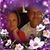 Andrew Andreicuk Liusija Urbanovic's profile image