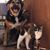Karen Laack's profile image