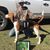Hunter Garris's profile image