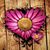 Robin Kellar's profile image