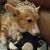 Nancy Ruscher Katz's profile image