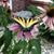 Tia Bigham's profile image