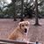 Melinda Cottrell Rose's profile image