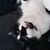 Sarah Croteau's profile image