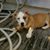 Linda Kay Staley's profile image