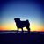 Victoria Langill's profile image