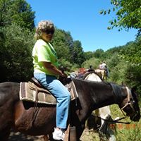Laura Lenz's profile image
