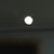 Roberta Lacorte's profile image