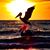 Sharon Presutto's profile image