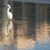 Kathleen Bridger Fitzgerald's profile image