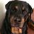 Connie Turk's profile image