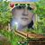 Amparo Mazariegos's profile image
