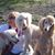 Patryka Chaves's profile image