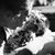 Adrianna Laree's profile image