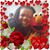 Pat Stevenson's profile image