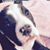 Leann Wilder Sigl's profile image