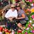Laurie Thiemann's profile image