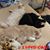 Shelly Williams Kilbourn's profile image