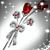Crystina Perez's profile image