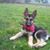 Lois Bays McCoy's profile image