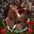 Barbara Larson Filkins's profile image