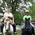 Julie Grohowski Lynch's profile image