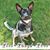 Sue Davidson Brezinsky's profile image