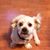 Donna Mack's profile image