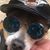 Nici Daley's profile image
