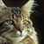 Claudia Hults's profile image