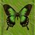 Mellisa Knight's profile image