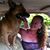 Wendy Pawlowski Gorka's profile image