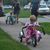 Patricia Dioguardi's profile image