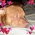 Crystal Ybarra's profile image