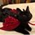 Anita Greene Shell's profile image