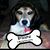 Dawn DiGaetano Wood's profile image