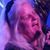 Nancy D. Olson's profile image