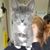 Grace L.'s profile image