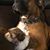 Judy Goodrich Jordan's profile image