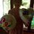 Dolly Vachon's profile image