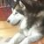 Sandy Satterfield's profile image