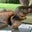 Richard Walker's profile image