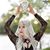 Christy Rose's profile image