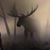 Matthew Abercrombie's profile image