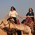 Renu Reed's profile image