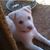 Patty Lyons Watkins's profile image