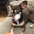 Marcena May Thompson's profile image