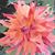 Anne Leighty's profile image