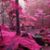 Jeanette Martin's profile image